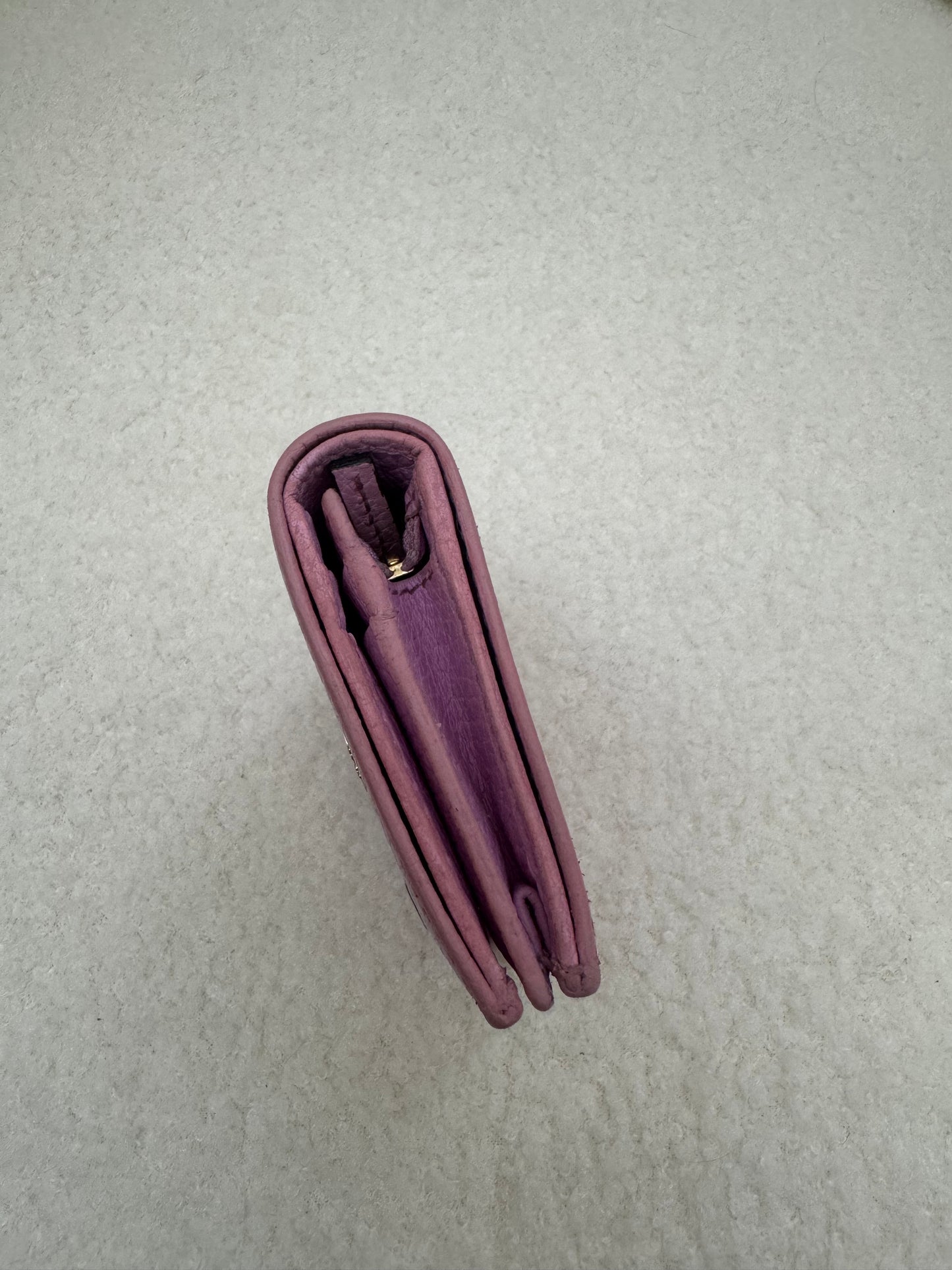 GUCCI MARMONT BOSCO - Limited Edition (Pre-loved)