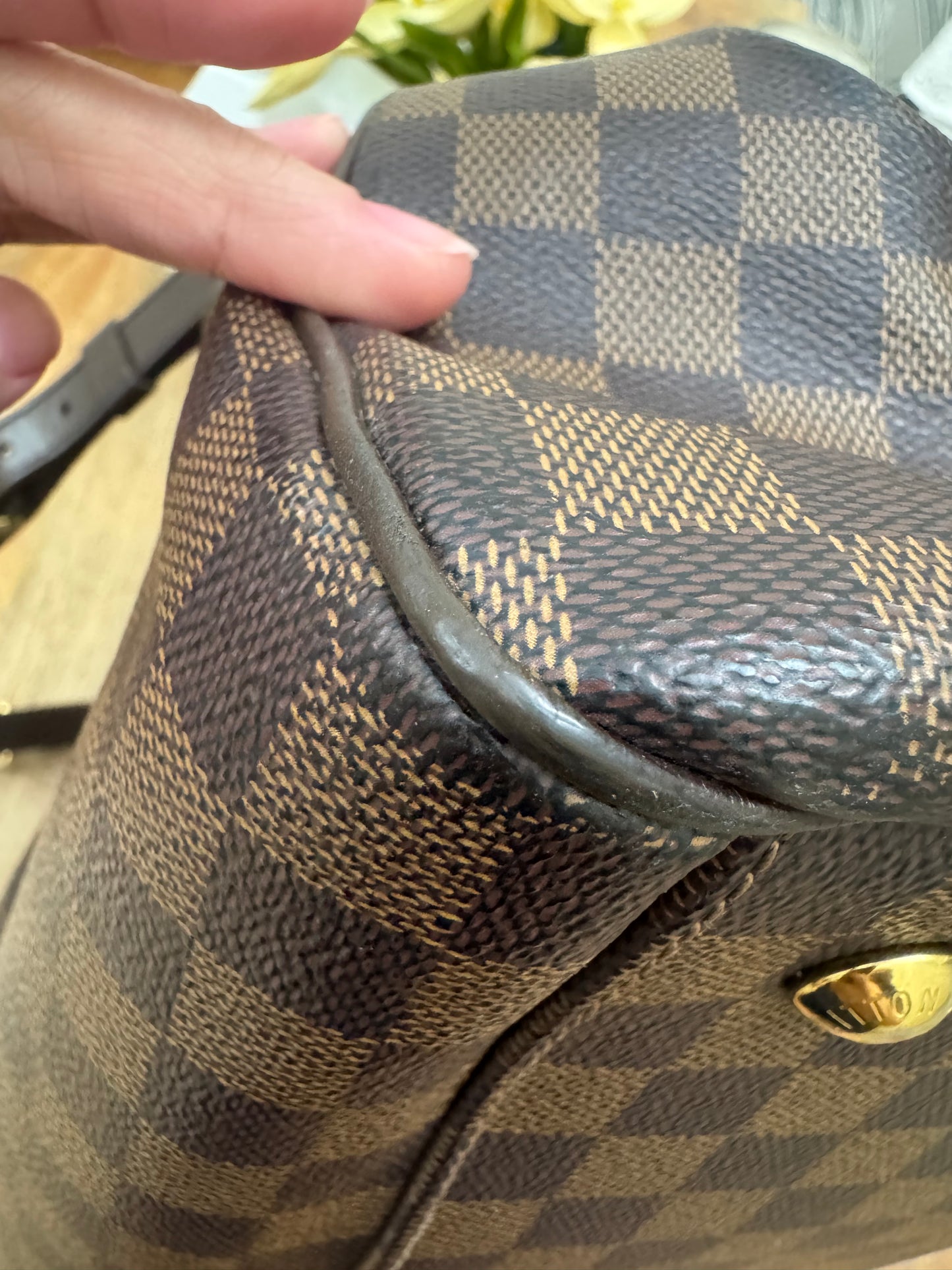LOUIS VUITTON - TREVI GM (Pre-loved)