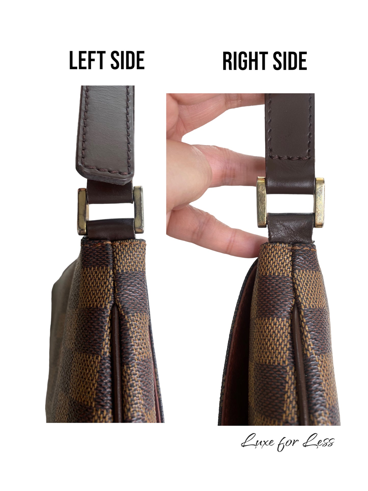 MUSETTE SALSA