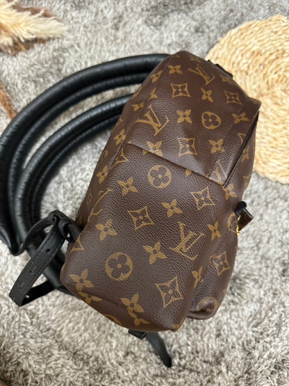 LOUIS VUITTON - Palm Spring PM