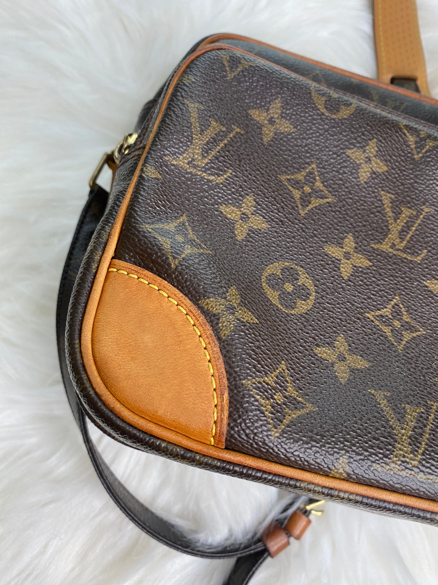 LOUIS VUITTON MESSENGER NILE (Rank B)