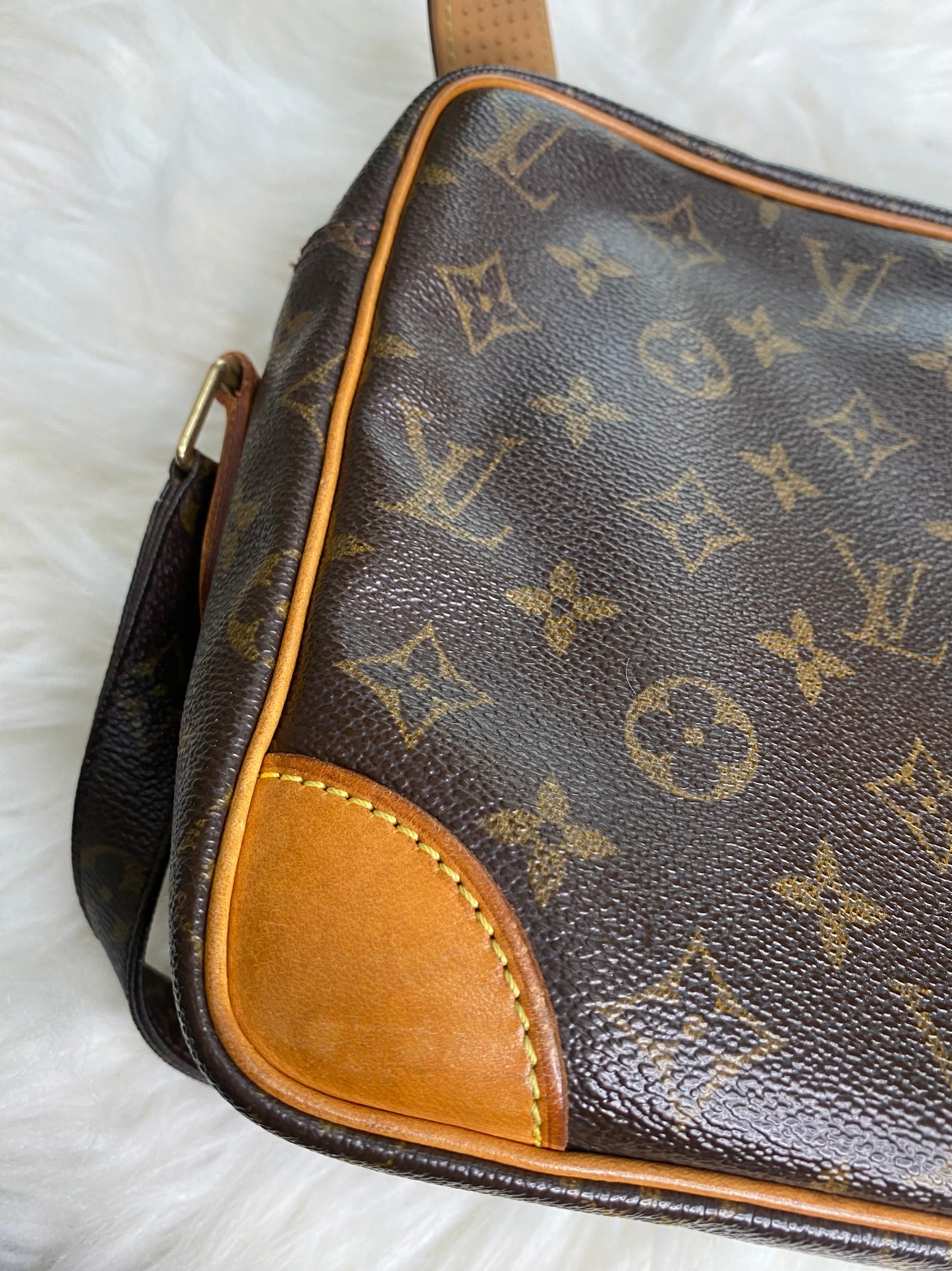 LOUIS VUITTON MESSENGER NILE (Rank B)