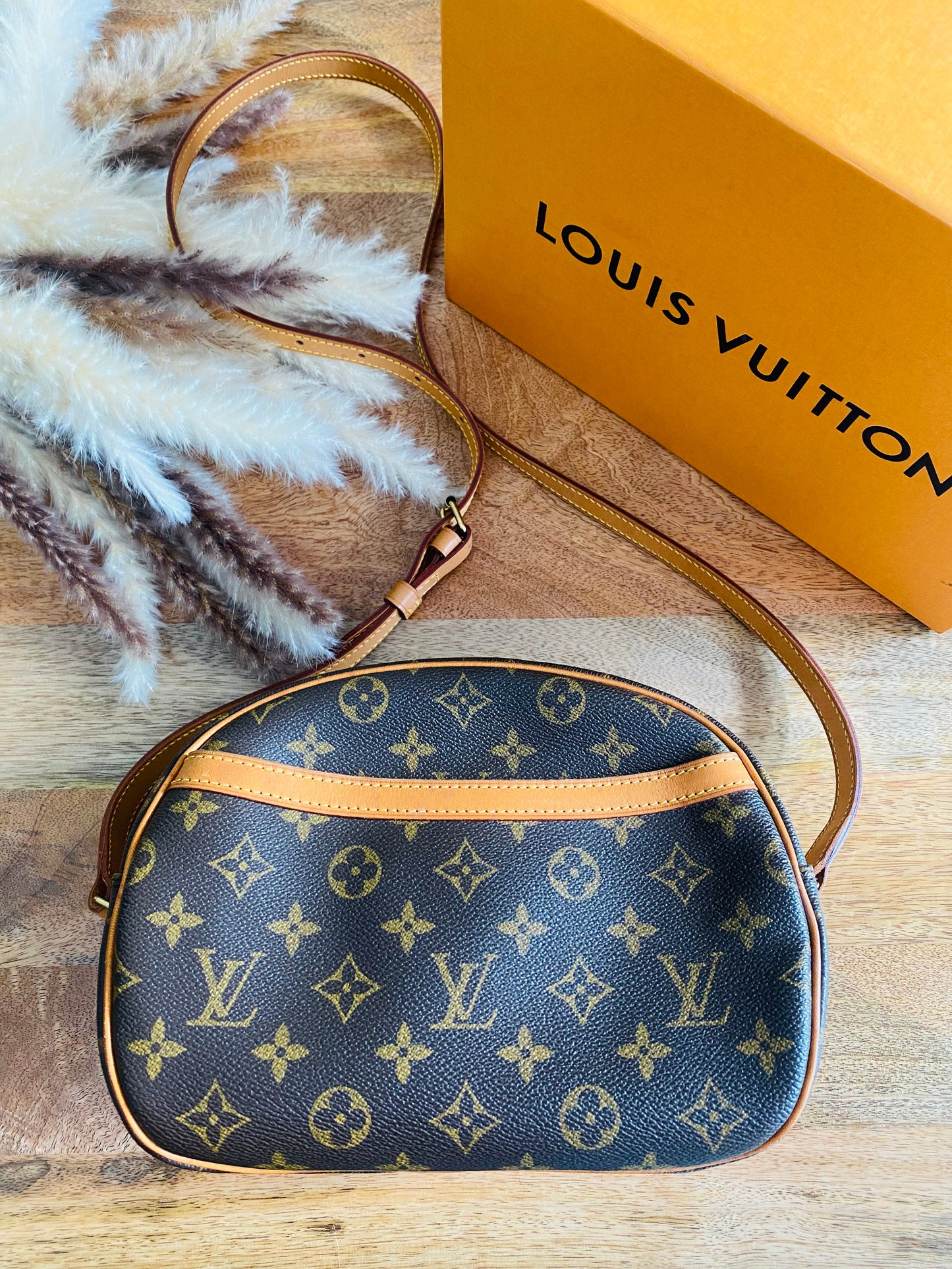 LOUIS VUITTON BLOISE