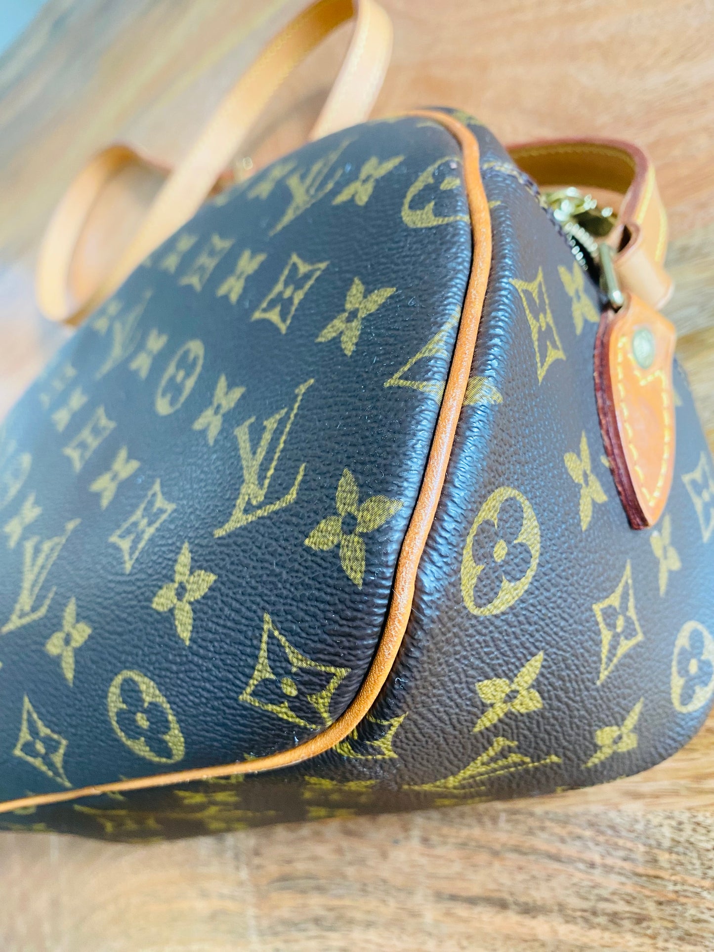 LOUIS VUITTON BLOISE