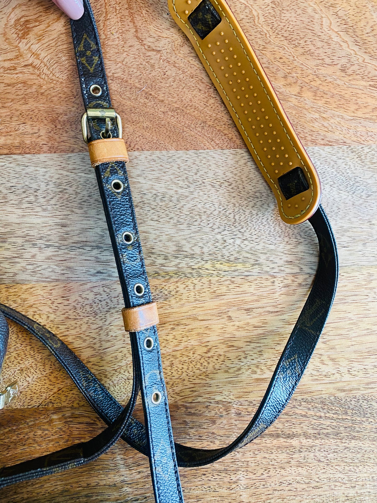 LOUIS VUITTON DANUBE SLING