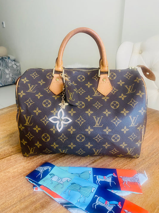 LOUIS VUITTON SPEEDY 30