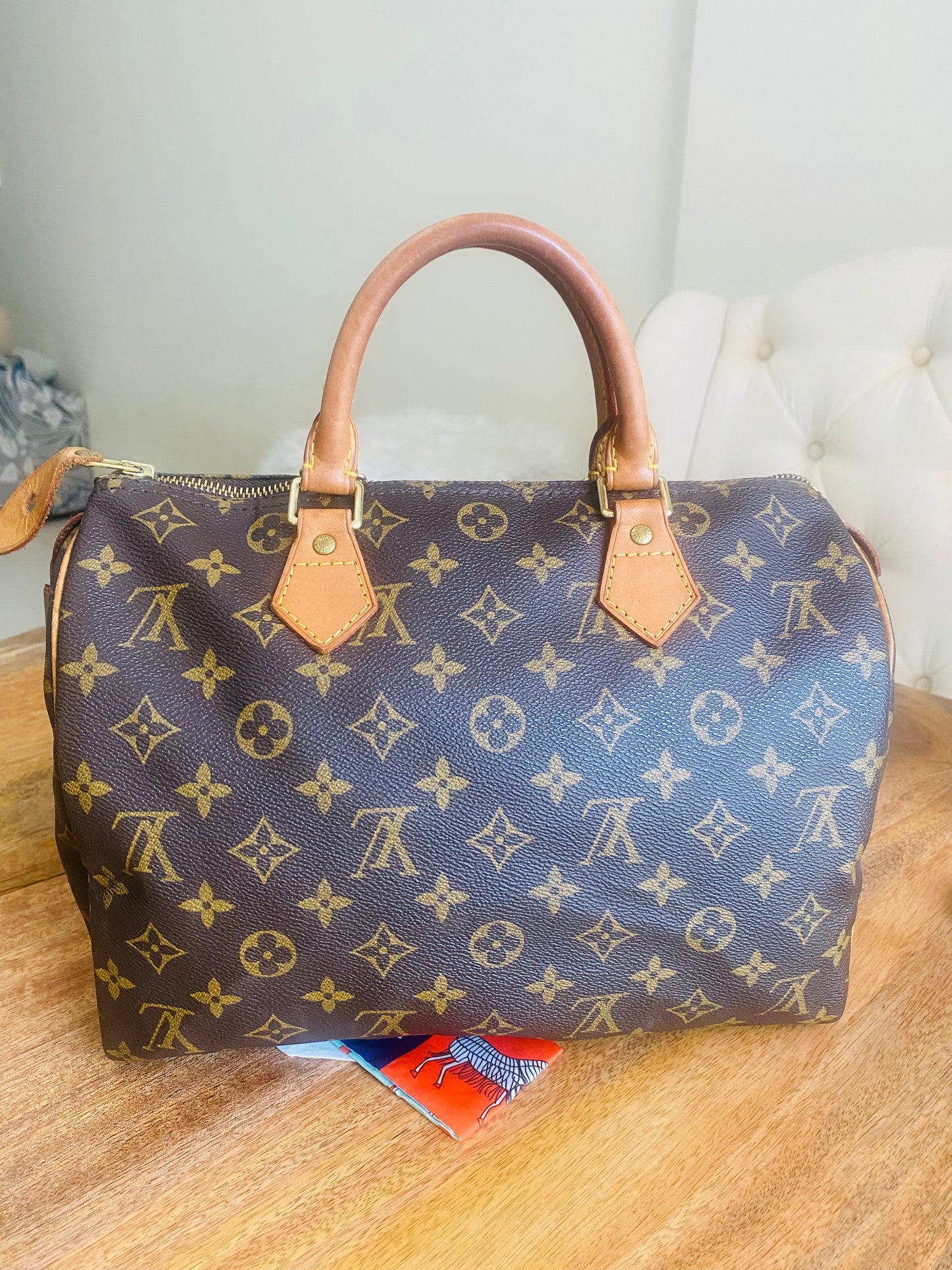 LOUIS VUITTON SPEEDY 30