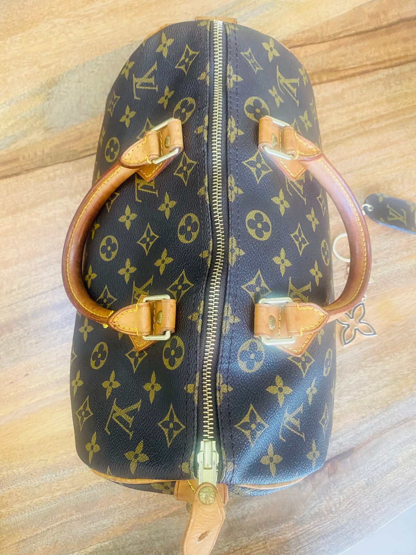 LOUIS VUITTON SPEEDY 30