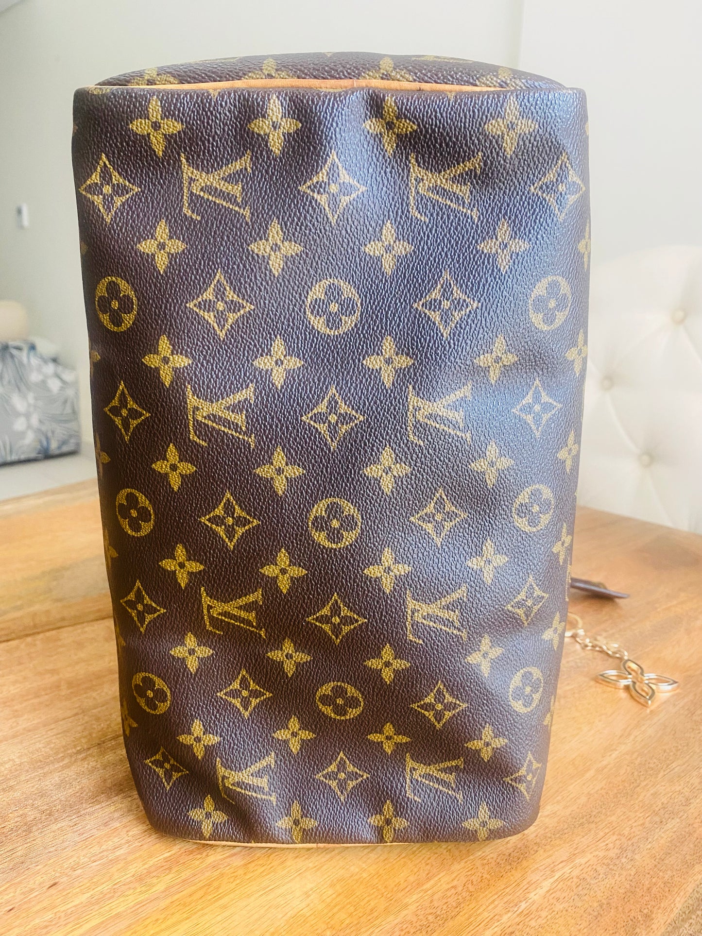 LOUIS VUITTON SPEEDY 30