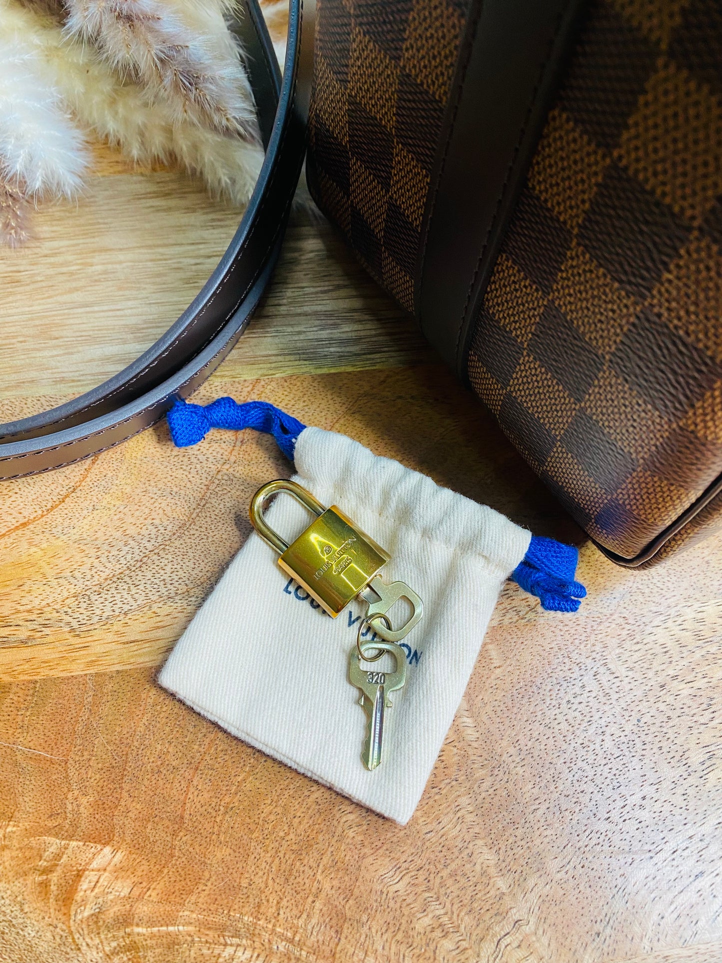 LOUIS VUITTON SPEEDY 25 BANDOULIERE (Microchip)