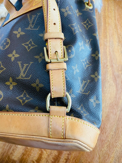 LOUIS VUITTON MONTSOURIS MM BACK PACK