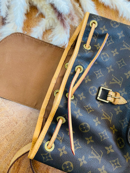 LOUIS VUITTON MONTSOURIS MM BACK PACK